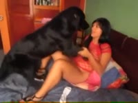 Black dog eats and fucks the pussy of curvy beastie gal